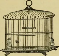 Picture 12 of 1725 from Strawbridge & Clothier's quarterly (1882), leaf 11