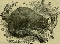 An illustration from Strawbridge & Clothier's quarterly (1882)