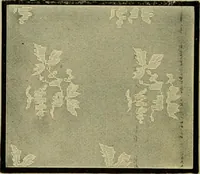 An illustration from Strawbridge & Clothier's quarterly (1882)