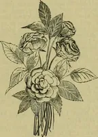 An illustration from Strawbridge & Clothier's quarterly (1882)