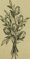 An illustration from Strawbridge & Clothier's quarterly (1882)