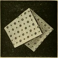 An illustration from Strawbridge & Clothier's quarterly (1882)