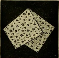 An illustration from Strawbridge & Clothier's quarterly (1882)