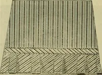 An illustration from Strawbridge & Clothier's quarterly (1882)
