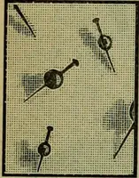 An illustration from Strawbridge & Clothier's quarterly (1882)