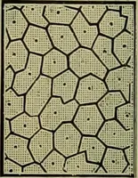 An illustration from Strawbridge & Clothier's quarterly (1882)
