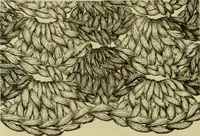 An illustration from Strawbridge & Clothier's quarterly (1882)