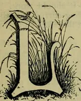 An illustration from Strawbridge & Clothier's quarterly (1882)
