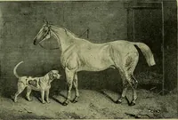 An illustration from Strawbridge & Clothier's quarterly (1882)