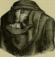 An illustration from Strawbridge & Clothier's quarterly (1882)