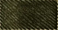 An illustration from Strawbridge & Clothier's quarterly (1882)