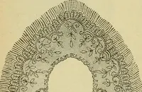 An illustration from Strawbridge & Clothier's quarterly (1882)