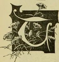 An illustration from Strawbridge & Clothier's quarterly (1882)