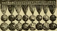 An illustration from Strawbridge & Clothier's quarterly (1882)