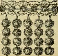 An illustration from Strawbridge & Clothier's quarterly (1882)