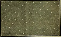 An illustration from Strawbridge & Clothier's quarterly (1882)