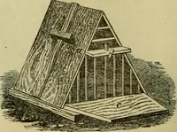 An illustration from Strawbridge & Clothier's quarterly (1882)