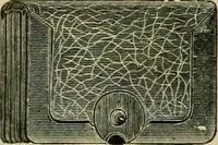 An illustration from Strawbridge & Clothier's quarterly (1882)