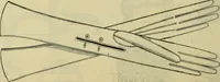 An illustration from Strawbridge & Clothier's quarterly (1882)