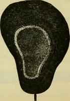 An illustration from Strawbridge & Clothier's quarterly (1882)