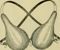 An illustration from Strawbridge & Clothier's quarterly (1882)