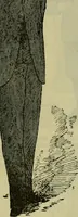 An illustration from Strawbridge & Clothier's quarterly (1882)