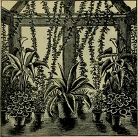 An illustration from Strawbridge & Clothier's quarterly (1882)