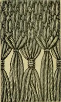 An illustration from Strawbridge & Clothier's quarterly (1882)