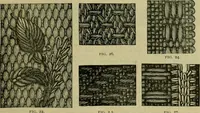 An illustration from Strawbridge & Clothier's quarterly (1882)