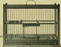 An illustration from Strawbridge & Clothier's quarterly (1882)