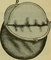 An illustration from Strawbridge & Clothier's quarterly (1882)