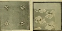 An illustration from Strawbridge & Clothier's quarterly (1882)