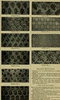 An illustration from Strawbridge & Clothier's quarterly (1882)