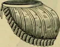 An illustration from Strawbridge & Clothier's quarterly (1882)