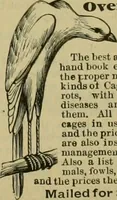 An illustration from Strawbridge & Clothier's quarterly (1882)