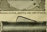 An illustration from Strawbridge & Clothier's quarterly (1882)