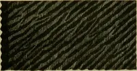 An illustration from Strawbridge & Clothier's quarterly (1882)