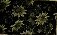 An illustration from Strawbridge & Clothier's quarterly (1882)