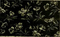 An illustration from Strawbridge & Clothier's quarterly (1882)