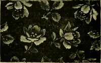 An illustration from Strawbridge & Clothier's quarterly (1882)
