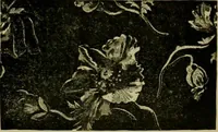 An illustration from Strawbridge & Clothier's quarterly (1882)