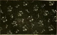An illustration from Strawbridge & Clothier's quarterly (1882)