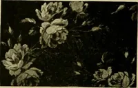 An illustration from Strawbridge & Clothier's quarterly (1882)