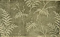 An illustration from Strawbridge & Clothier's quarterly (1882)