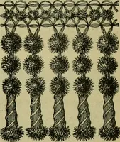 An illustration from Strawbridge & Clothier's quarterly (1882)