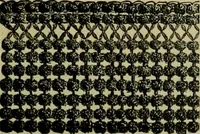 An illustration from Strawbridge & Clothier's quarterly (1882)