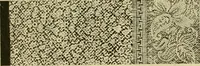 An illustration from Strawbridge & Clothier's quarterly (1882)