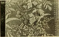 An illustration from Strawbridge & Clothier's quarterly (1882)
