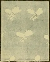 An illustration from Strawbridge & Clothier's quarterly (1882)