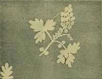 An illustration from Strawbridge & Clothier's quarterly (1882)